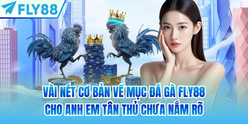 Vài nét cơ bản về mục đá gà FLY88 cho anh em tân thủ chưa nắm rõ